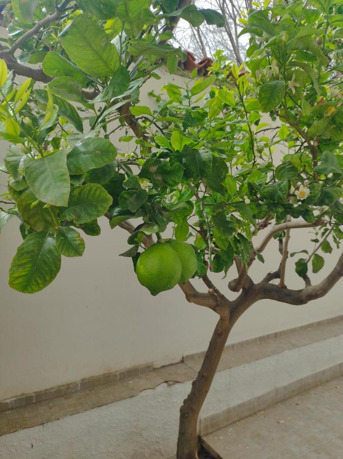فيلا Antigone Holiday House مونديلّو المظهر الخارجي الصورة